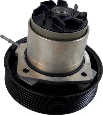 95810603303 Motor parçaları Su pompası