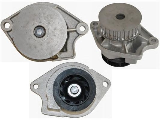 036121005B Motor Parçaları Su Pompası