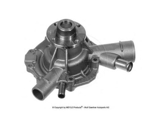 1112004301 Motor Parçaları Su Pompası