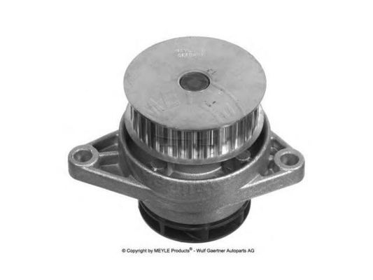 036121005P Motor parçaları Su pompası