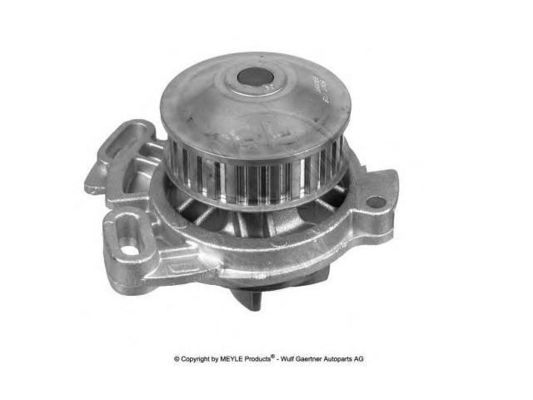 035121004A Motor Parçaları Su Pompası