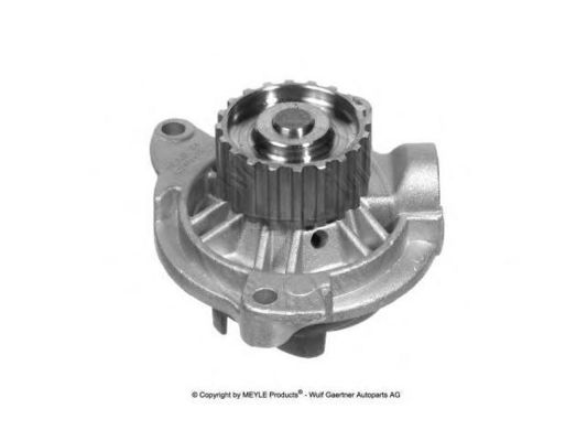 074121004 Motor parçaları Su pompası