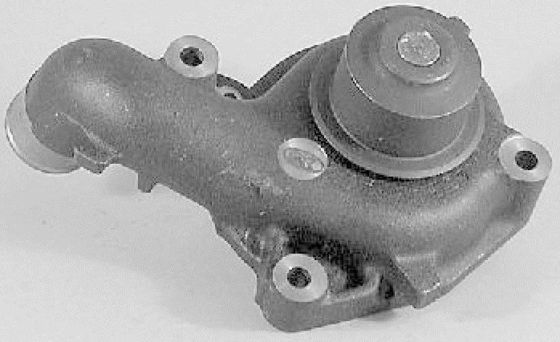 5020242 Motor parçaları Su pompası