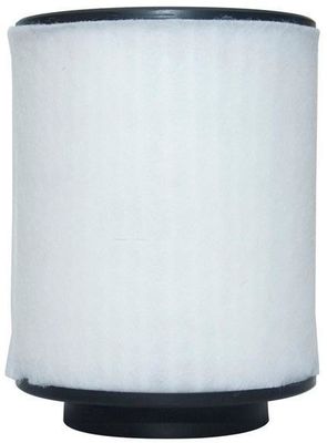 4H0129620L Motor Parçaları Hava Filtresi