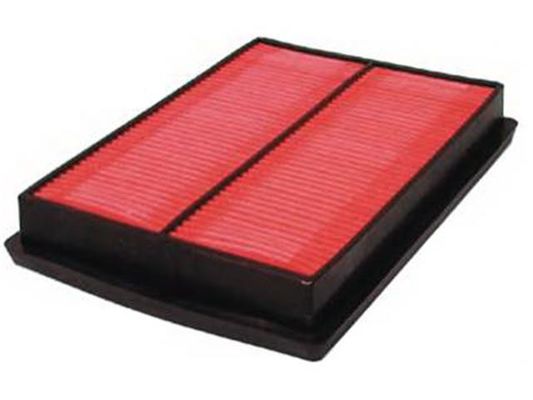 1654673C10 Motor Parçaları Hava Filtresi
