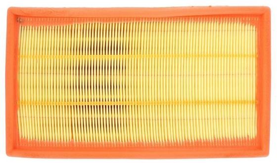 C2Z15037 Motor Parçaları Hava Filtresi