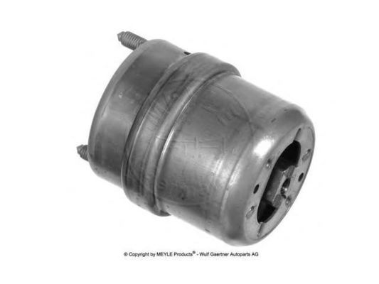 7D0199132D Motor Parçaları Motor Montu