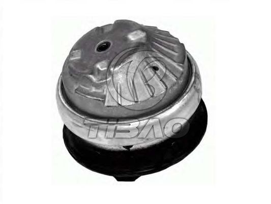 2032400317 MERCEDES-BENZ C Sınıfı (W203) için motor parçaları