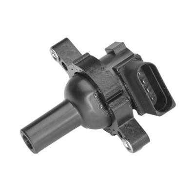 07V905115A Motor Parçaları Çakma Bobini