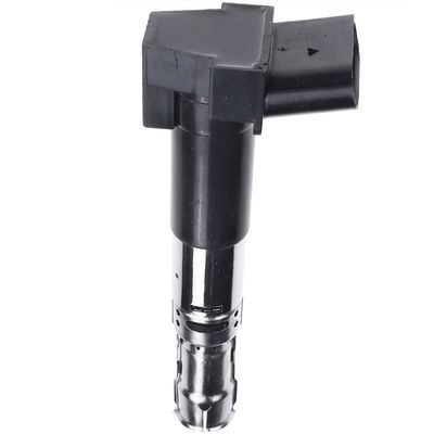 066905100C Motor Parçaları VW PASSAT B5.5 Ekipmanı (3B6) için Çakma Bobini
