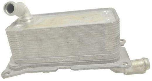 2465010501 Motor Parçaları Yağ Soğutucu