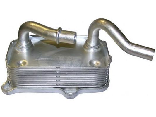 1121880401 Motor Parçaları Yağ Soğutucu