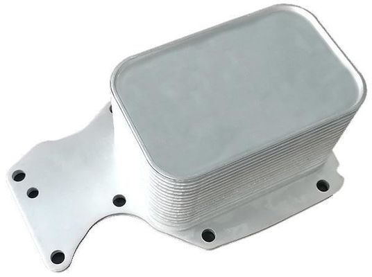 11428574005 Motor Parçaları BMW Yağ Soğutucu