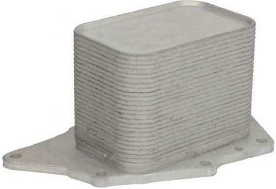 11428574004 Motor Parçaları BMW Yağ Soğutucu