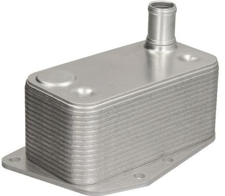 11427787698 Motor Parçaları BMW Yağ Soğutucu