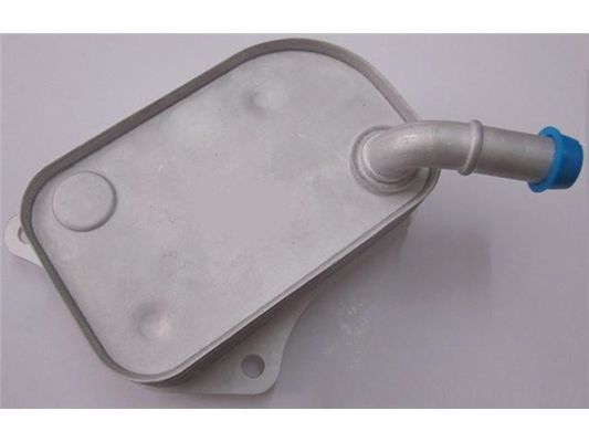 06B117021 Motor Parçaları Yağ Soğutucu