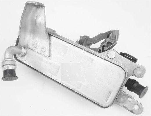 17218514515 Motor Parçaları Düğümler Yağı Soğutucu