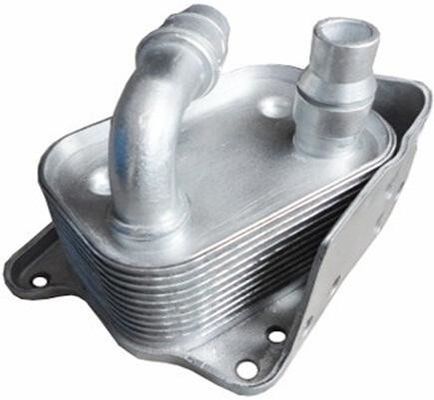 11427508967 Motor Parçaları BMW Yağ Soğutucusu