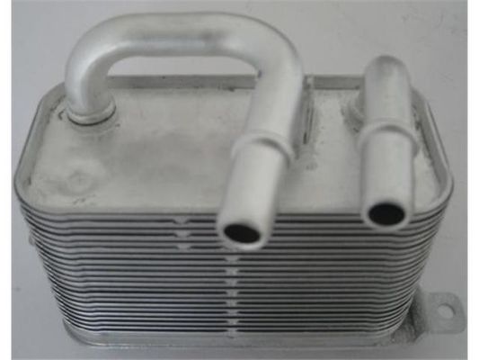 17217519213 Motor Parçaları BMW Yağ Soğutucu