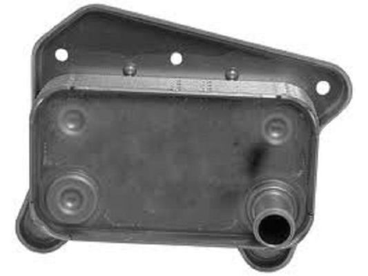 6111880101 Motor Parçaları Yağ Soğutucu