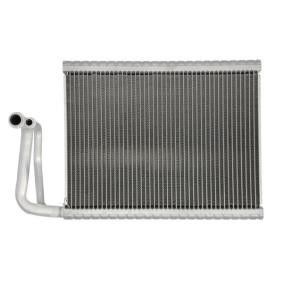 BMW 64119163331 Otomatik AC ve Elektrik Parçaları Klima Buharatçısı