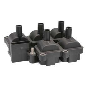 071905106 Motor parçaları VW GOLF, SEAT için ateşleme bobini
