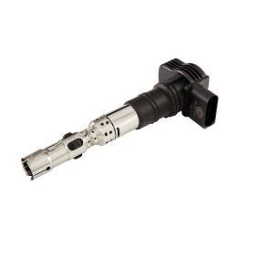 077905115S Motor İndirim Bobini VW PHAETON 3D1 3D2 için istikrarlı çalışma